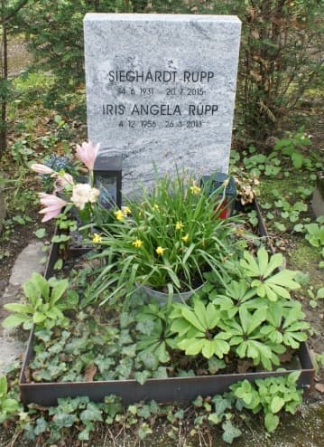 Copertă