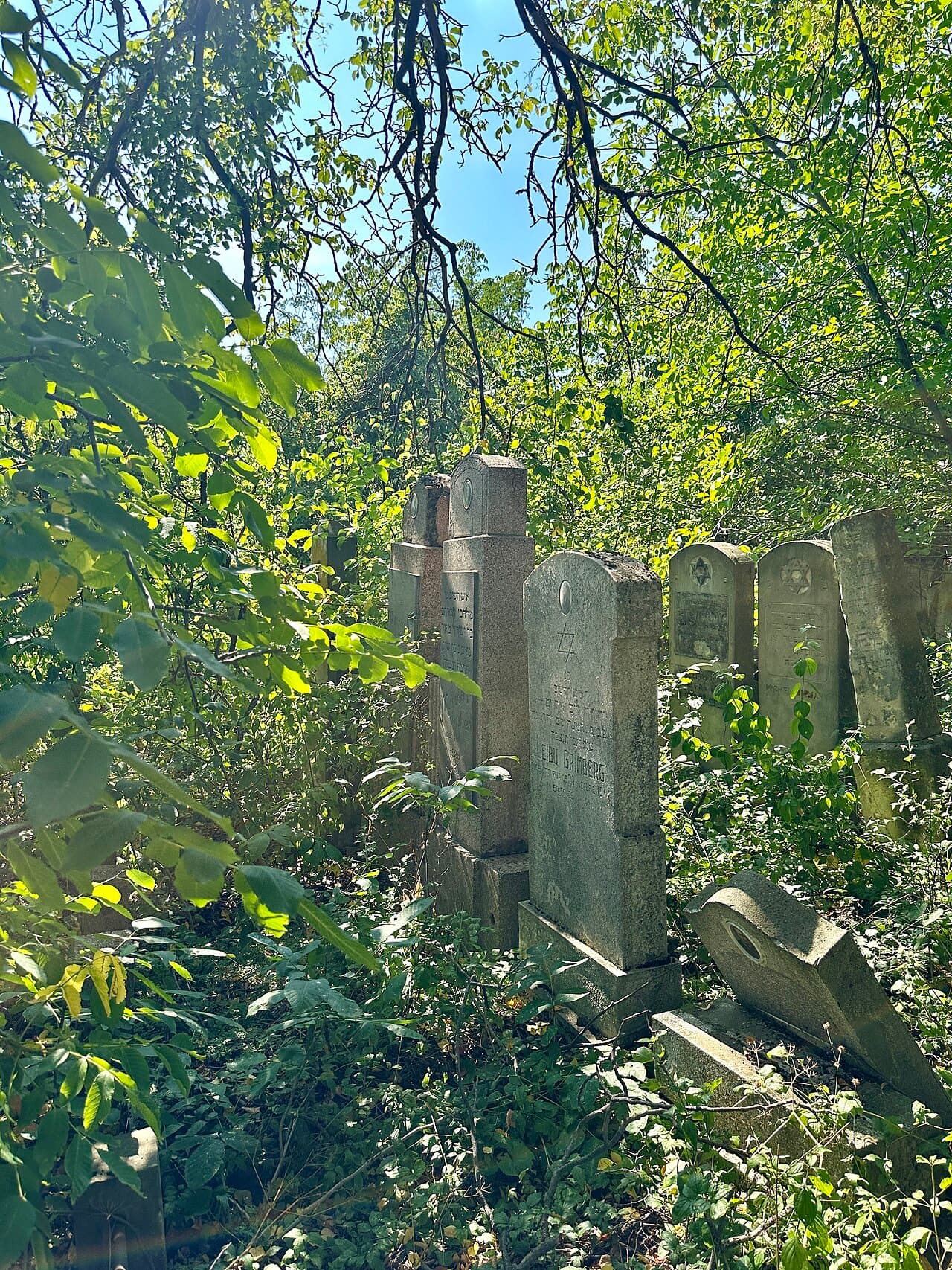 cimitir