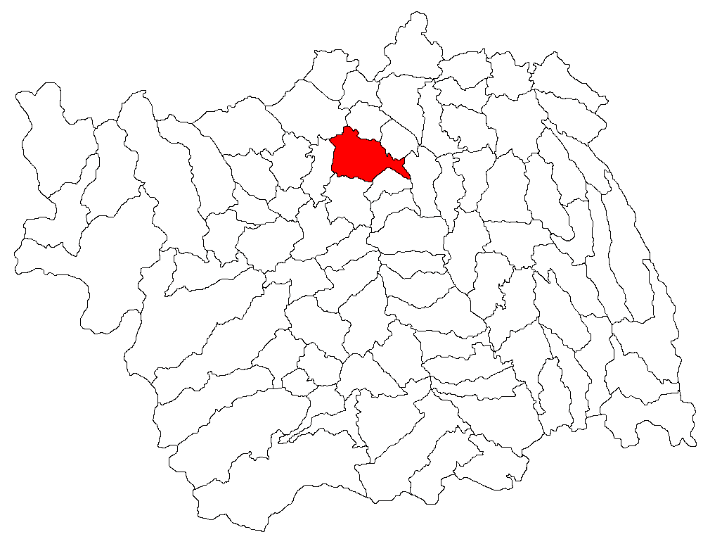 Cimitir Valea Budului