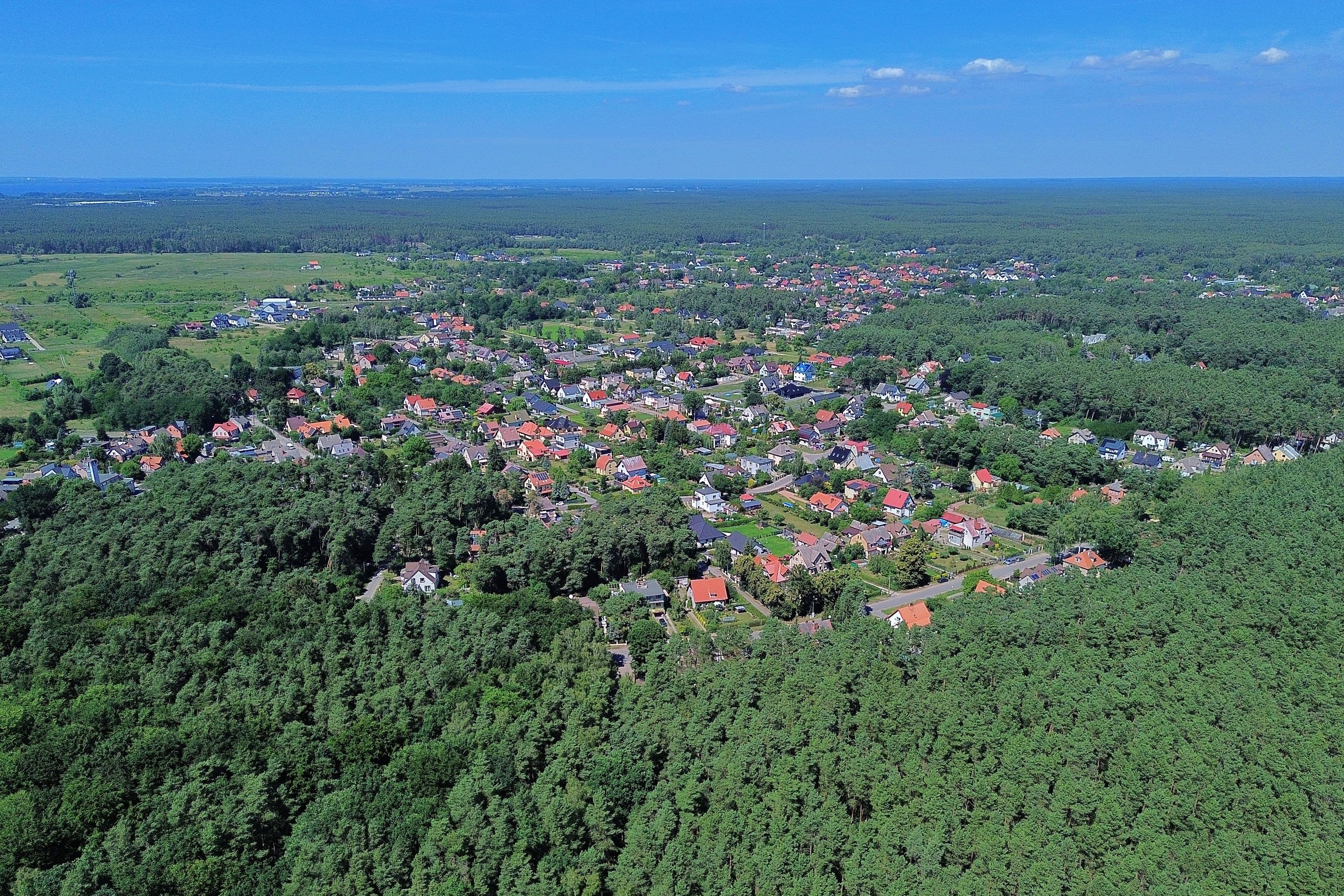 Cmentarz Wielgowo