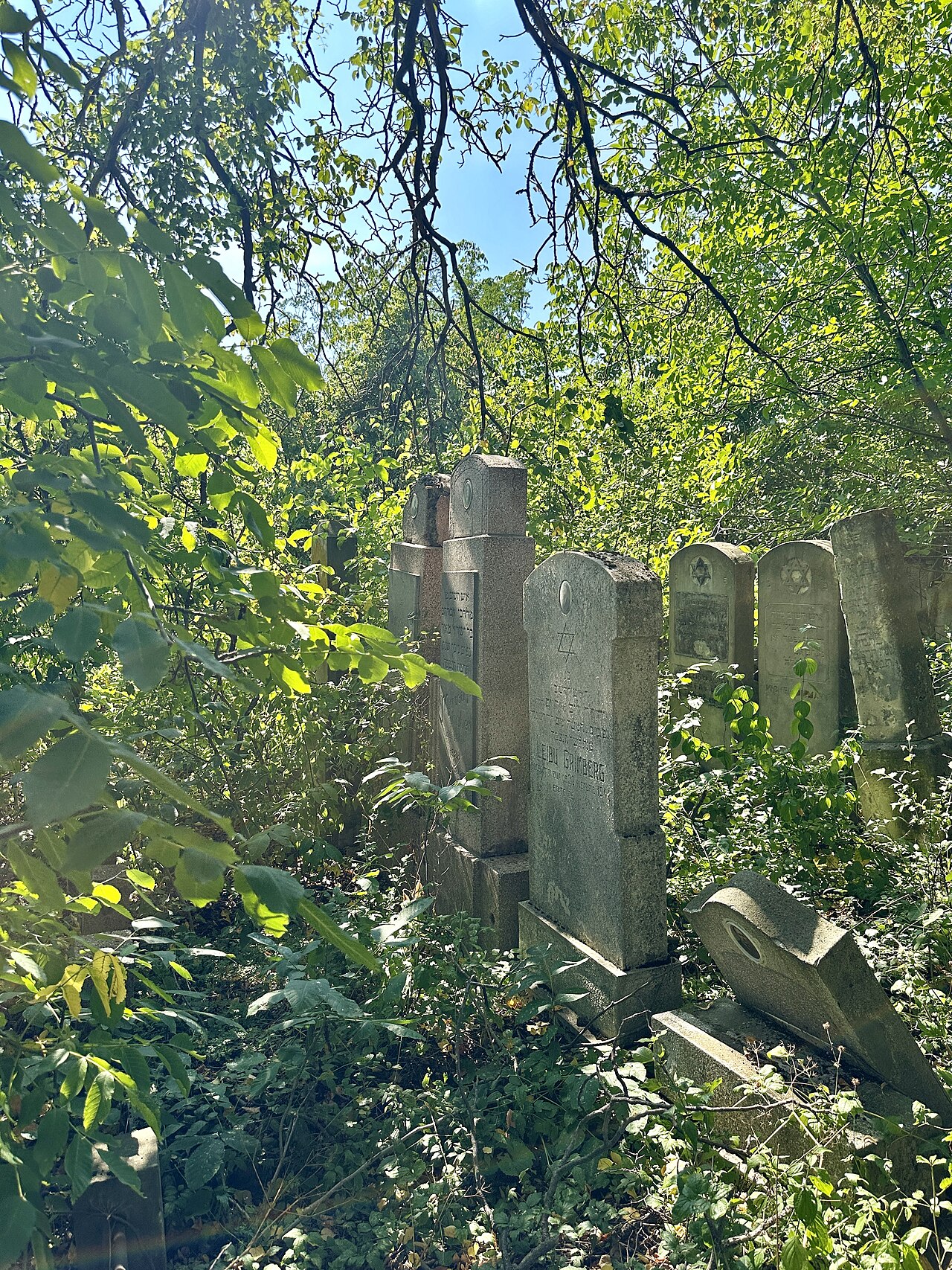 Cimitir Buhusi