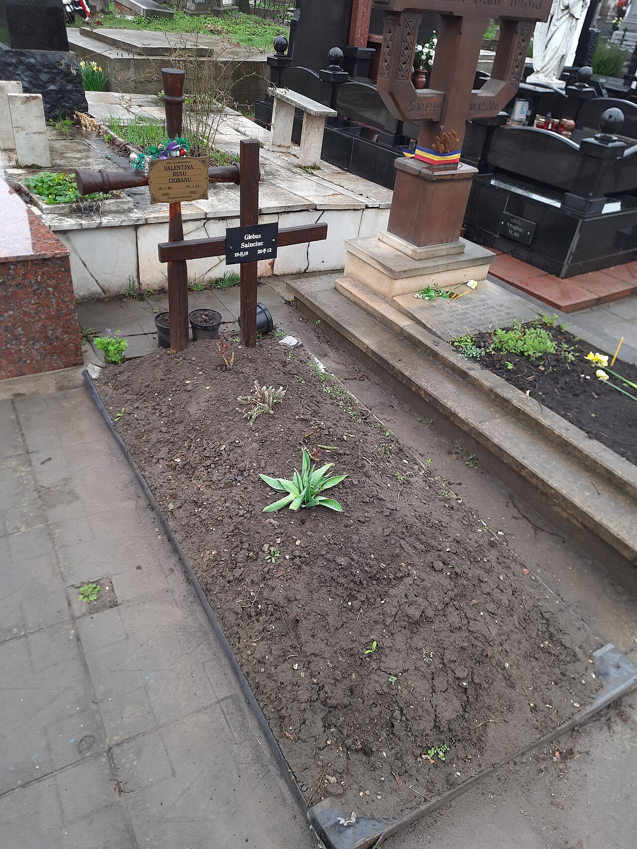Cimitir Ciobanu