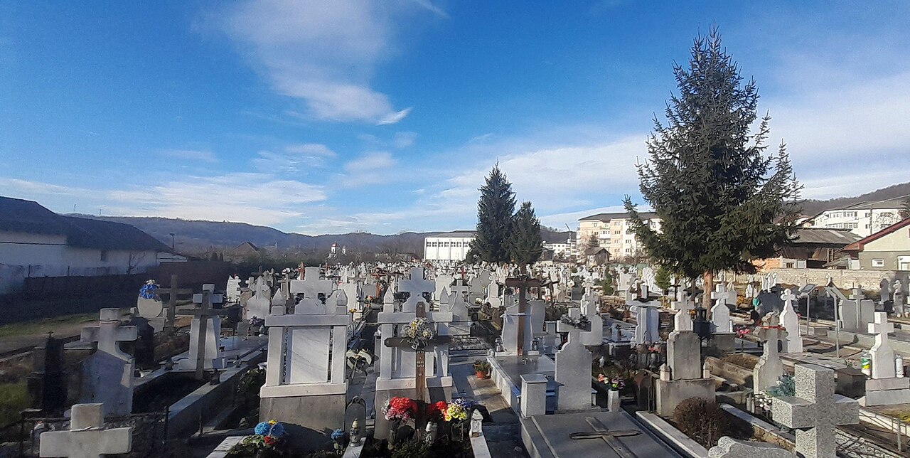 Cimitir Fieni