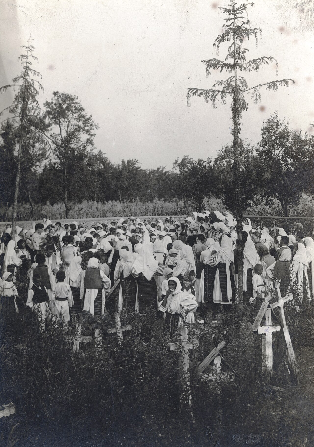 Cimitir Runcu