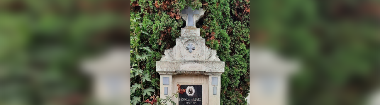 Franz  Des Loges