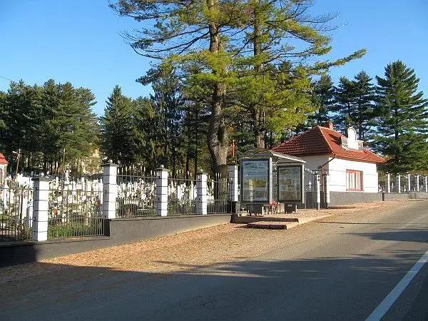 Cimitir Sigismund