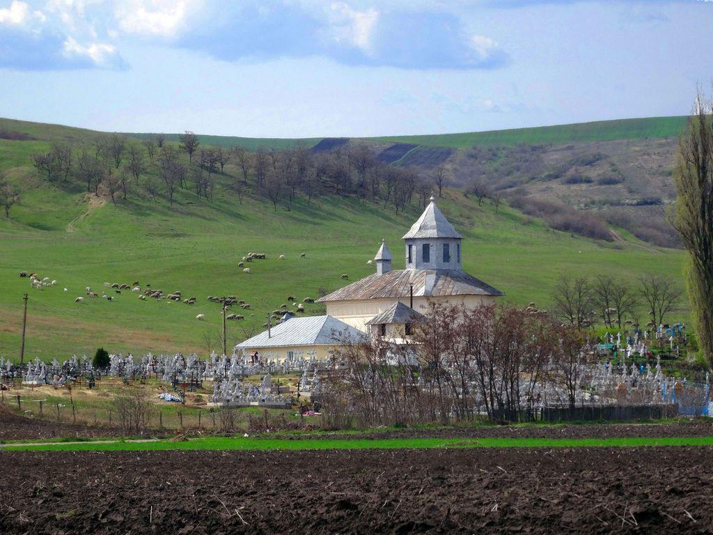 Pogonești Cemetery