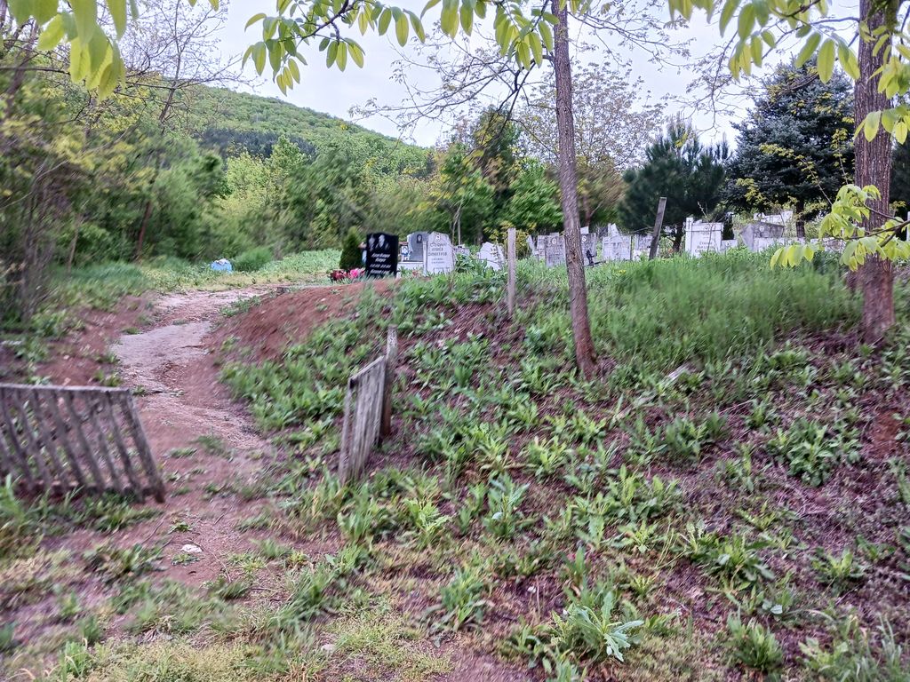 Village Cemetery - Bistrilitsa