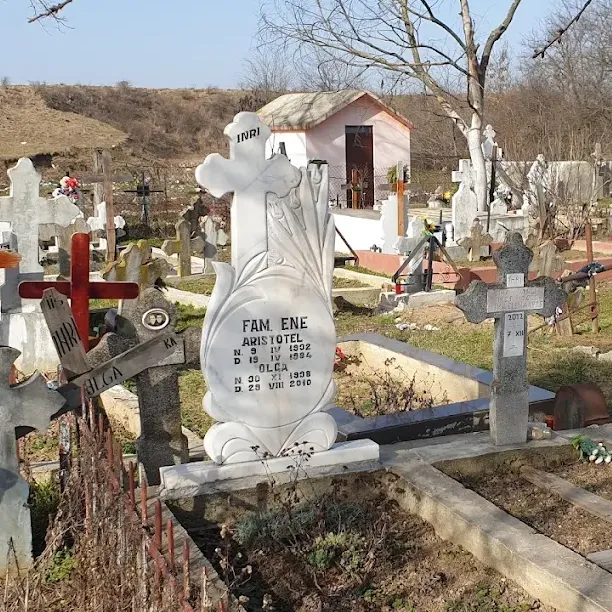 Gura Șuții Village Cemetery