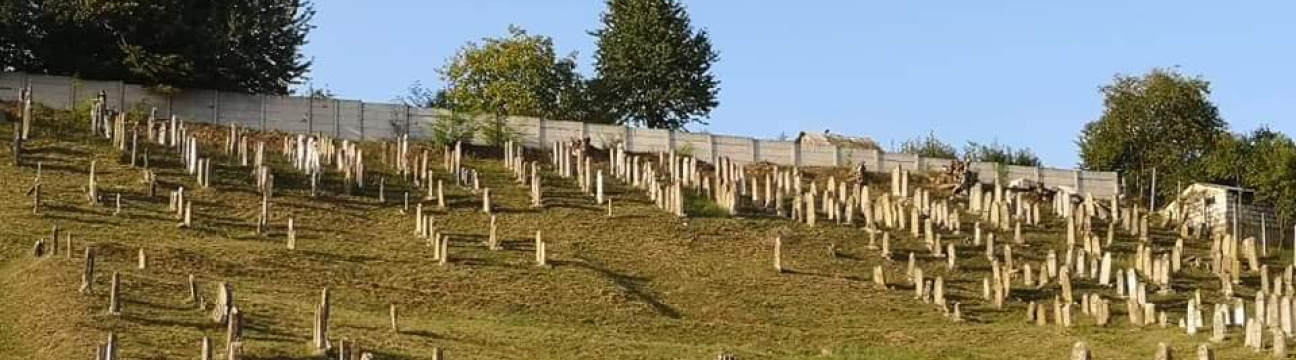 Vişeu de Sus Cemetery