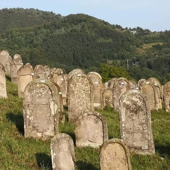 Vişeu de Sus Cemetery