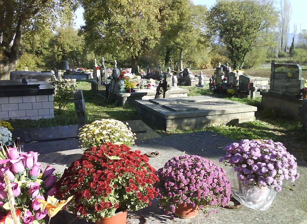 Rimokatoličko groblje Sjekose