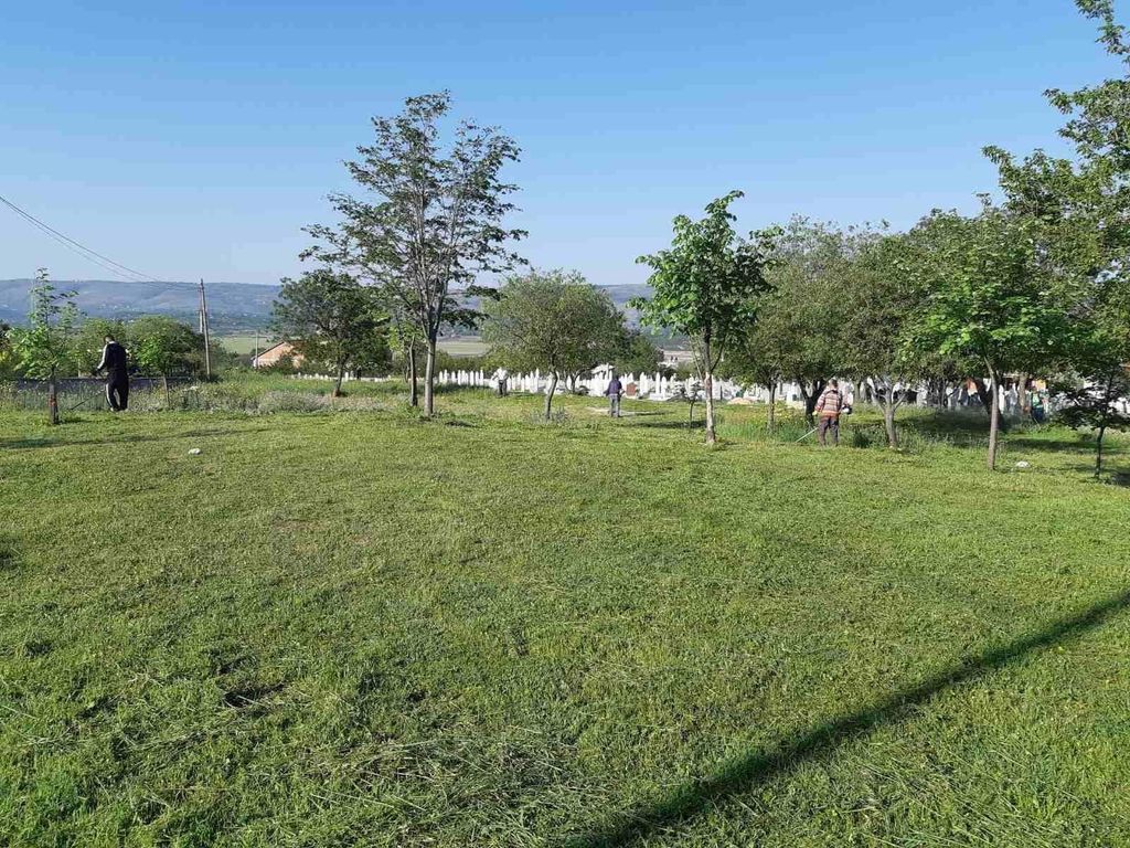 Harem Dračevice