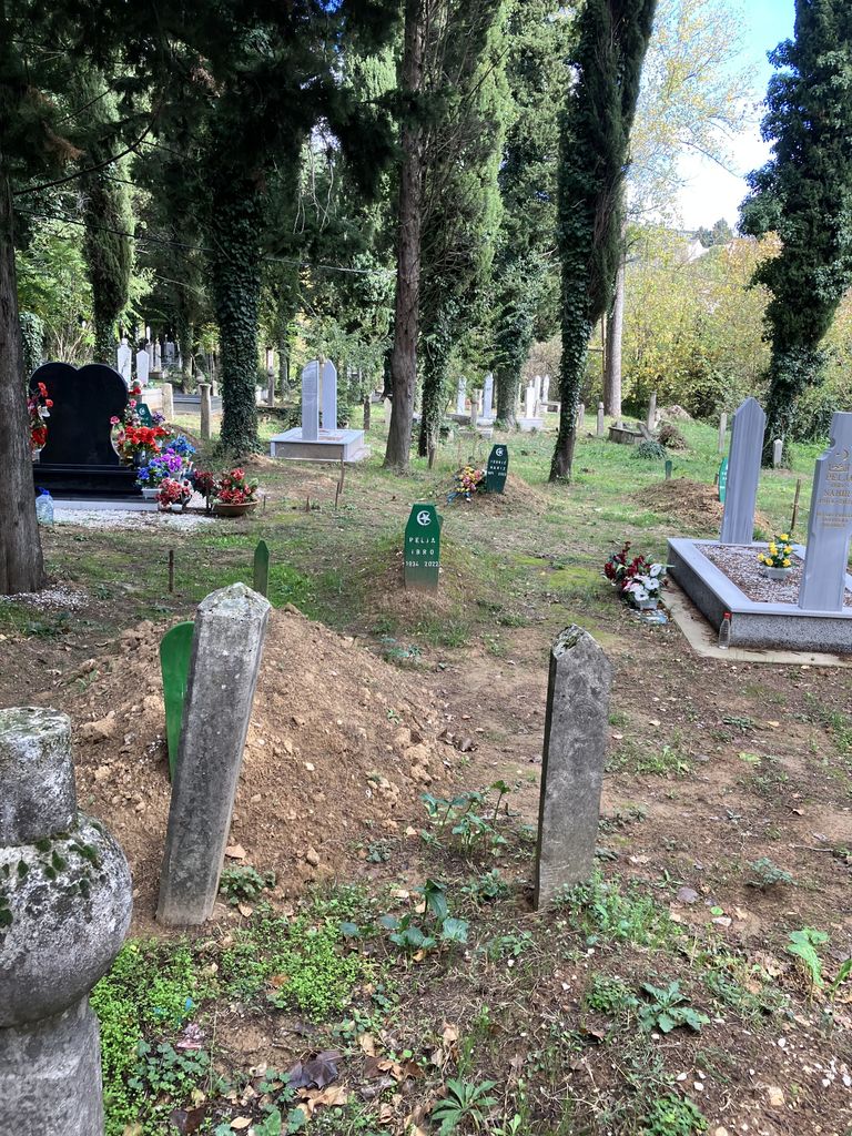 Harem Podgrad - Djetelina