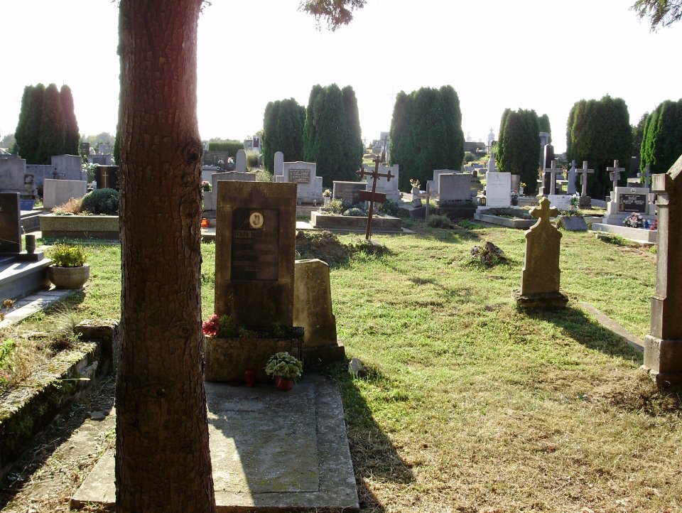 Suhopolje Cemetery