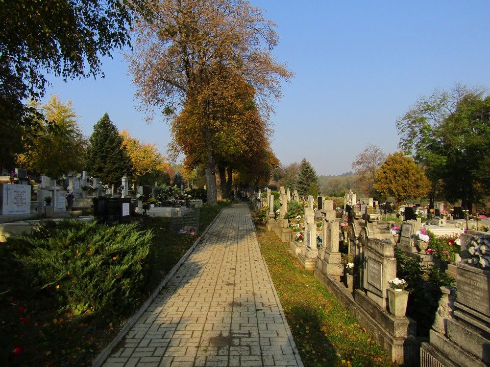 Bajna Cemetery