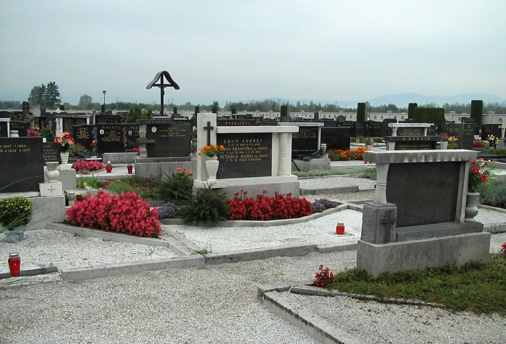 Bizovik