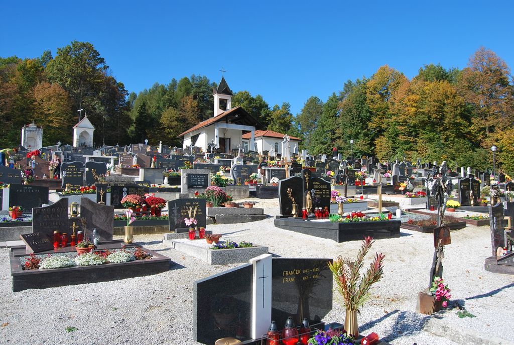 Trnovska vas