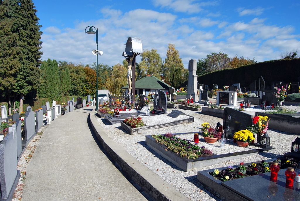 Vitomarci
