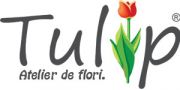 Atelier Tulip