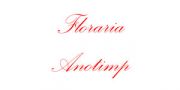 Florăria Anotimpul Florilor