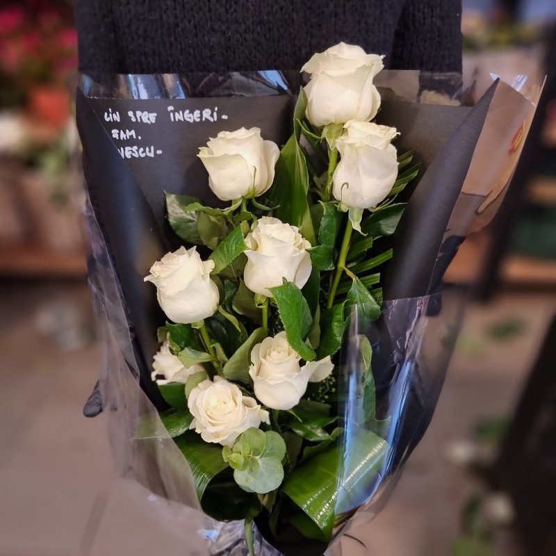 Fotografie 4