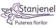 Florăria Stânjenel
