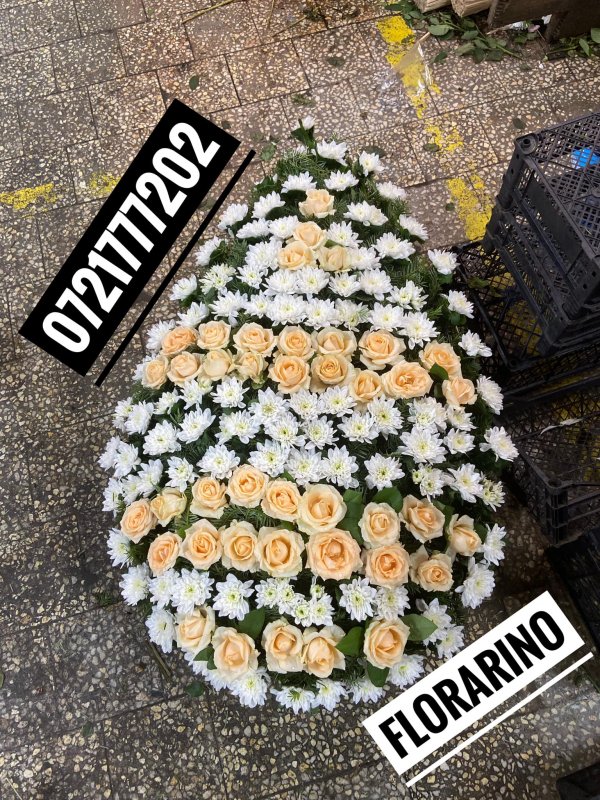 Fotografie 8
