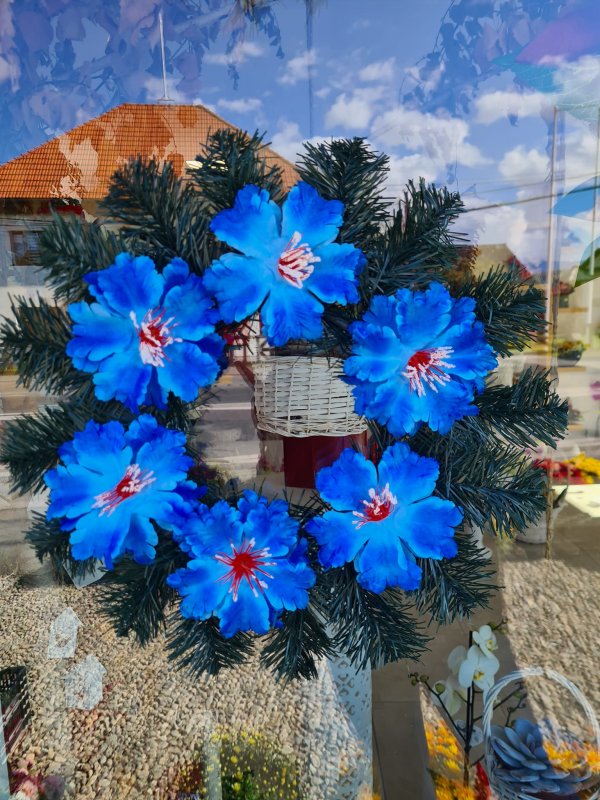 Fotografie 6