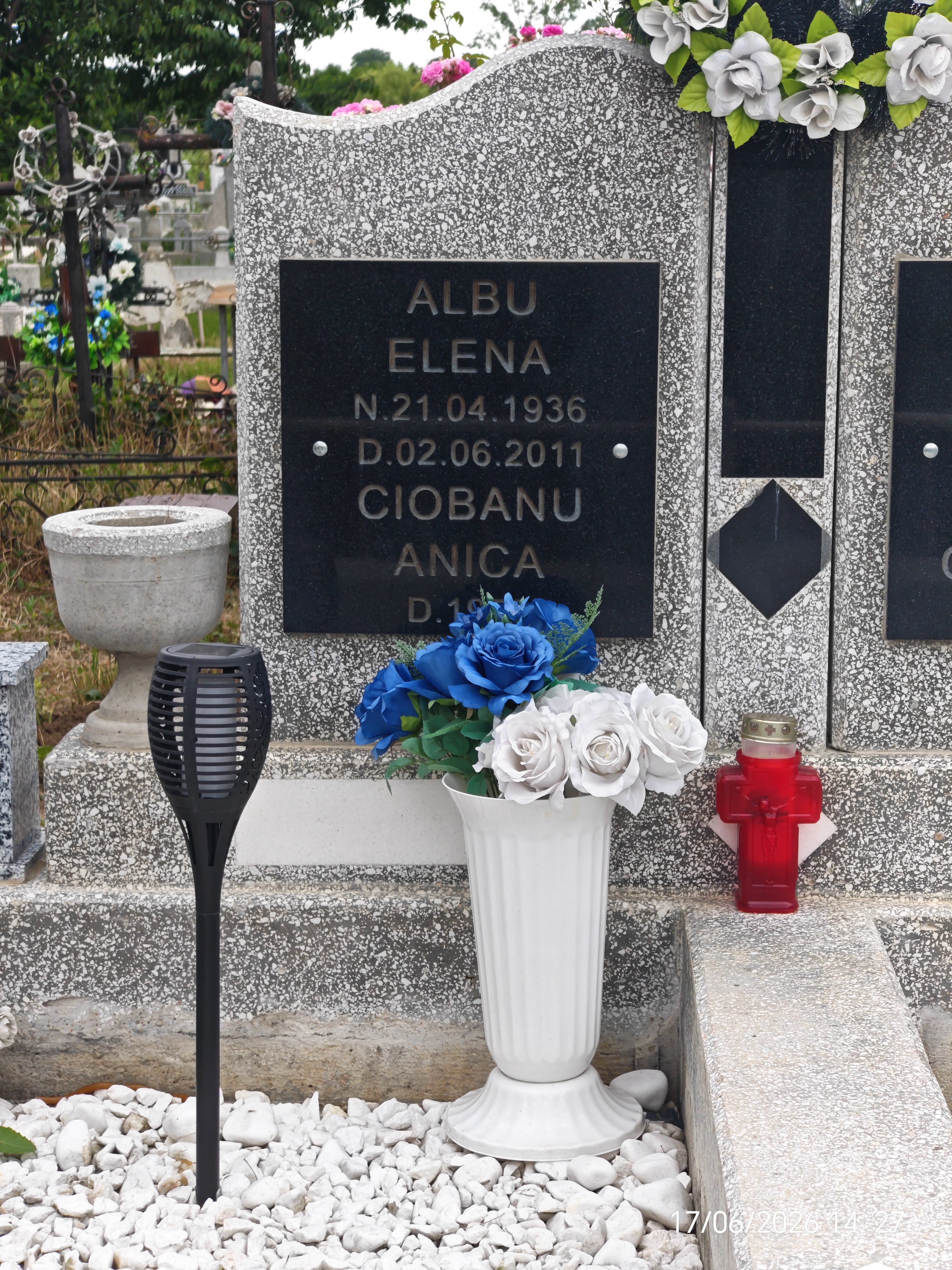 Albu Elena